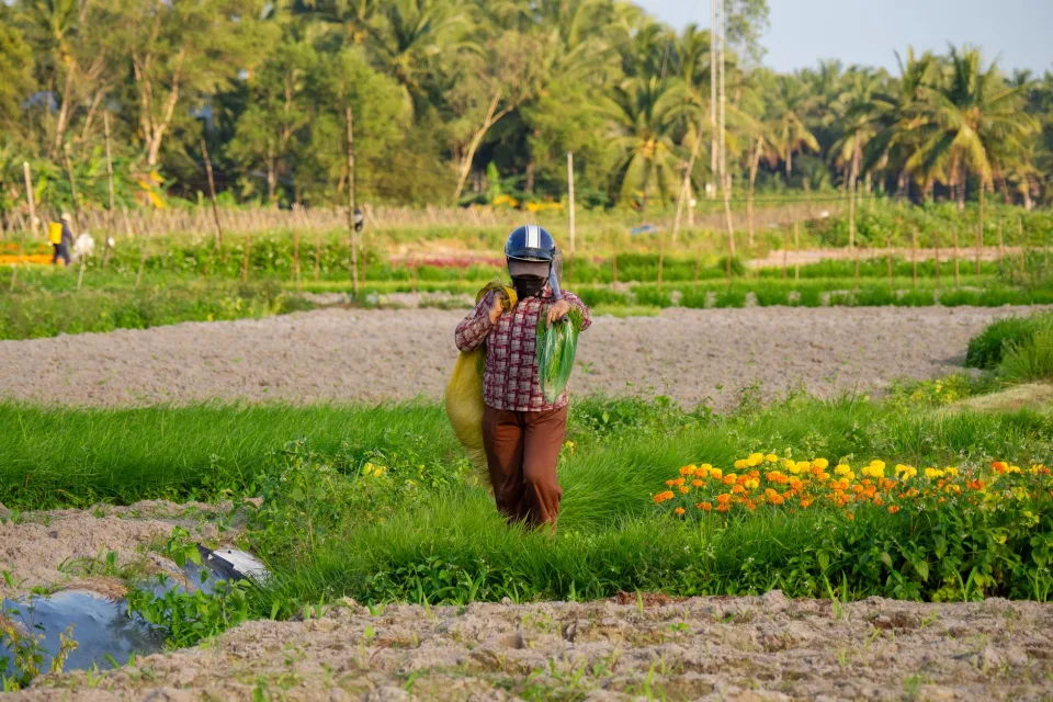 Vườn rau của Bhriu Thị Nghiêm